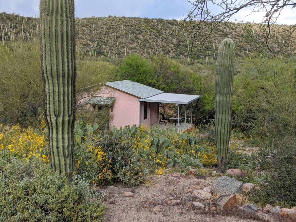 Villa Saguaro Lake Ranch Fountain Hills Exterior foto